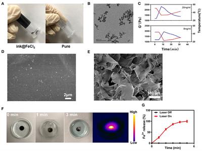 Injectable Hydrogel for NIR-II Photo-Thermal Tumor Therapy and Dihydroartemisinin-Mediated Chemodynamic Therapy